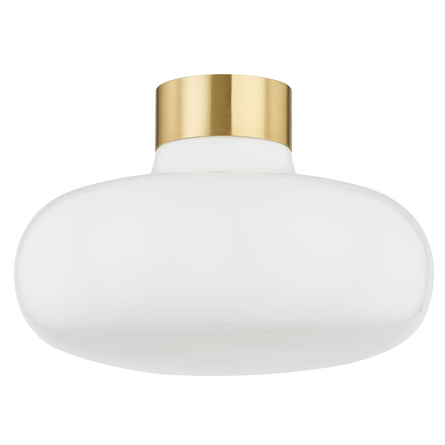 Eliana Ceiling Light by Mitzi