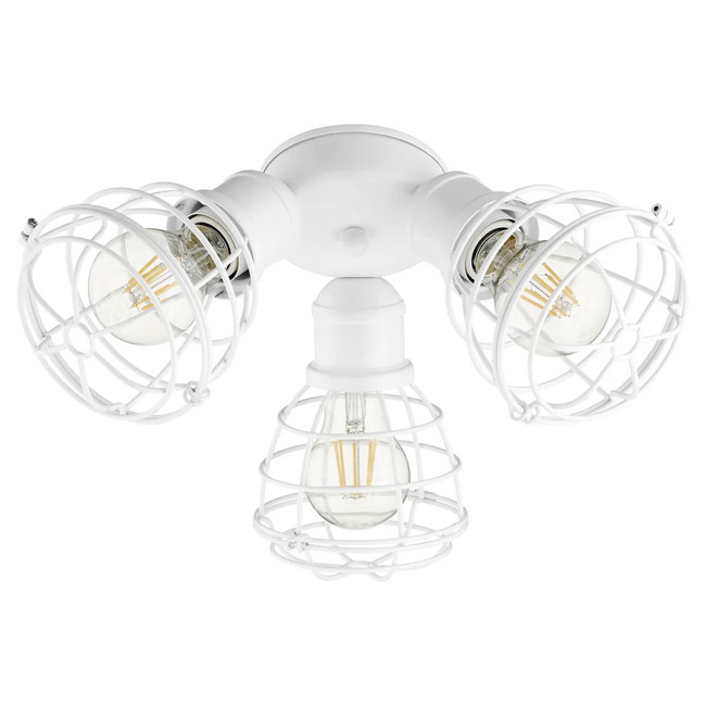 3-Light Cage Damp Location Fan Light Kit by Quorum