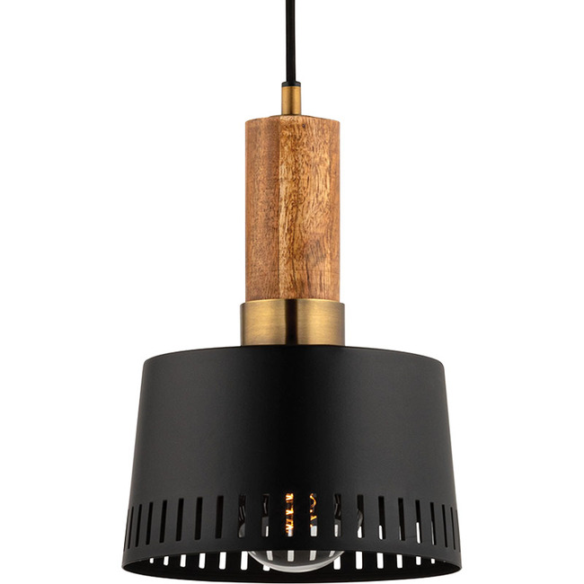 Memphis Pendant by Troy Lighting