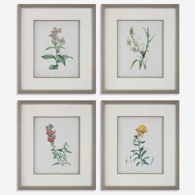 Heirloom Blooms Study Framed Prints Set of 4 by Uttermost