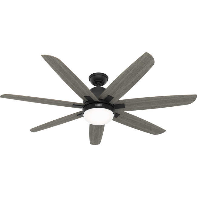 Wilder Ceiling Fan with Light by Hunter Fan