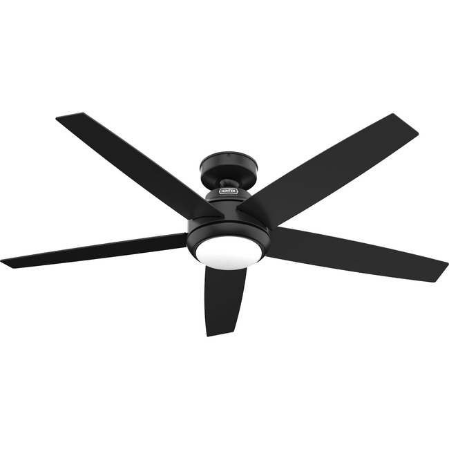 Zayden Ceiling Fan with Light by Hunter Fan