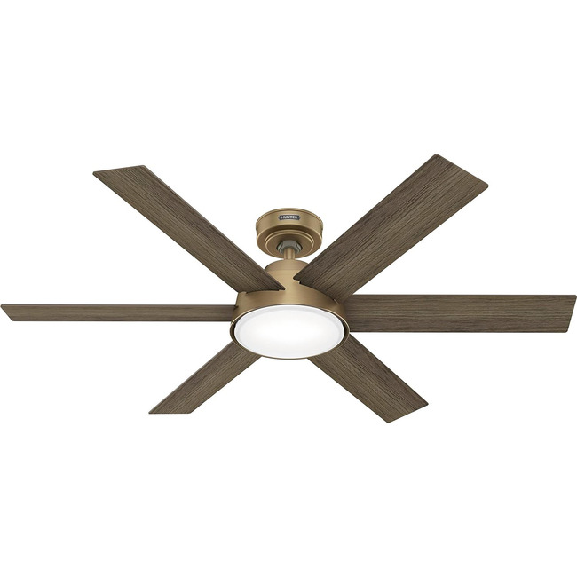 Donatella Ceiling Fan with Light by Hunter Fan