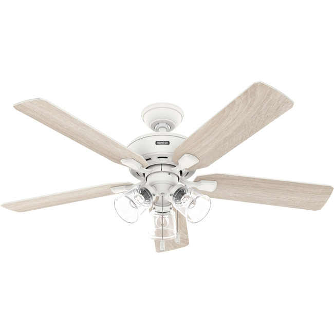 Rosner Ceiling Fan with Light by Hunter Fan