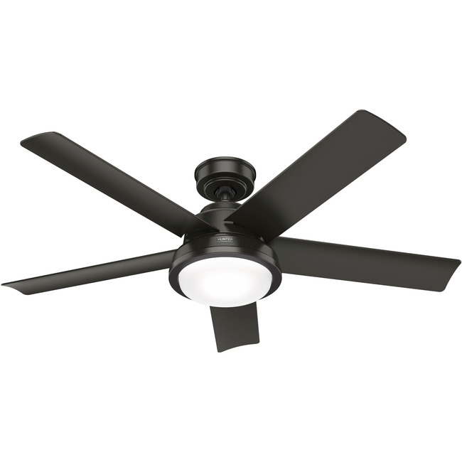 Seawall Outdoor 52 Inch Ceiling Fan with Light by Hunter Fan