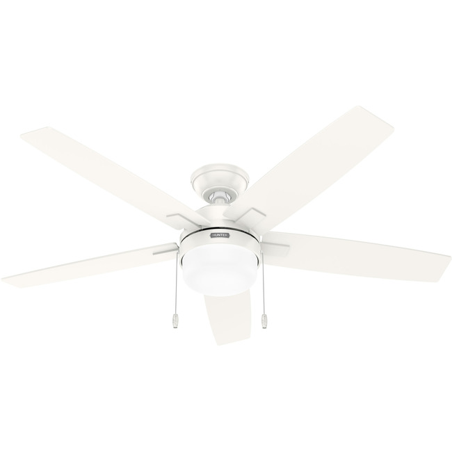 Anisten Ceiling Fan with Light by Hunter Fan