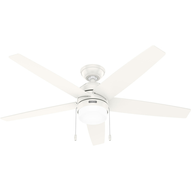 Bardot Ceiling Fan with Light by Hunter Fan