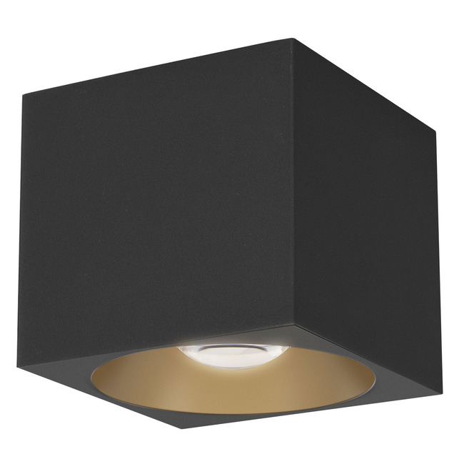 Stout Square 120-277V Indoor/ Outdoor Ceiling Light by Maxim Lighting