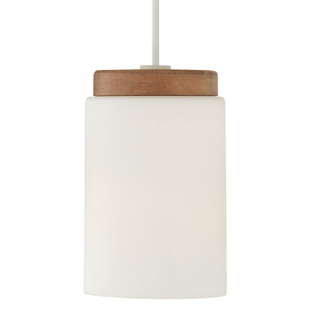 Liam Mini Pendant by Capital Lighting
