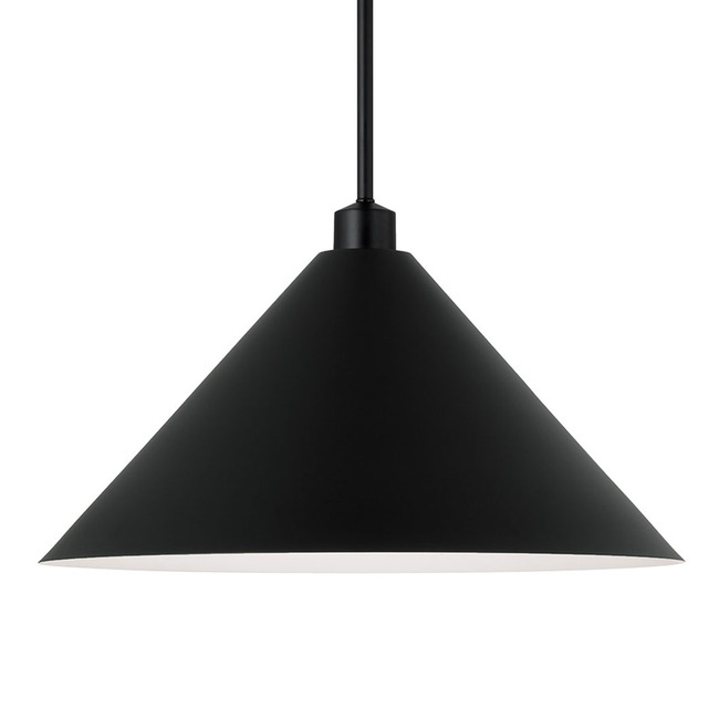 Alden Pendant by Capital Lighting