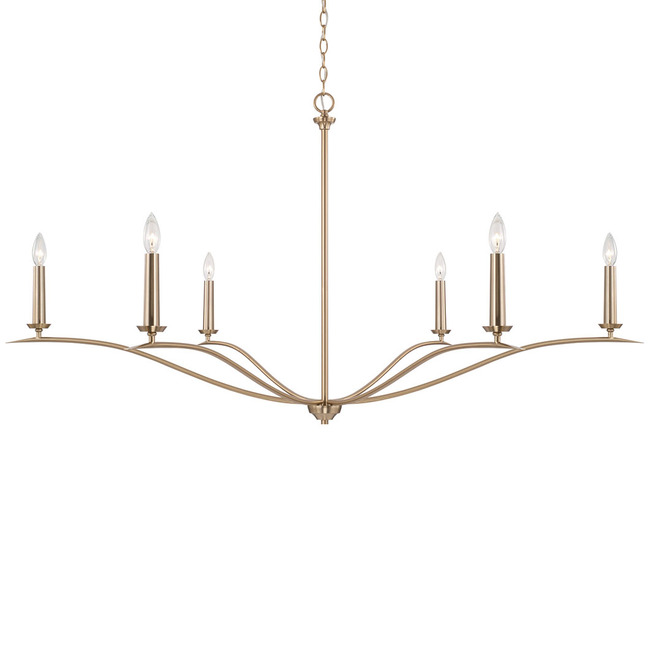 Grady Chandelier by Capital Lighting