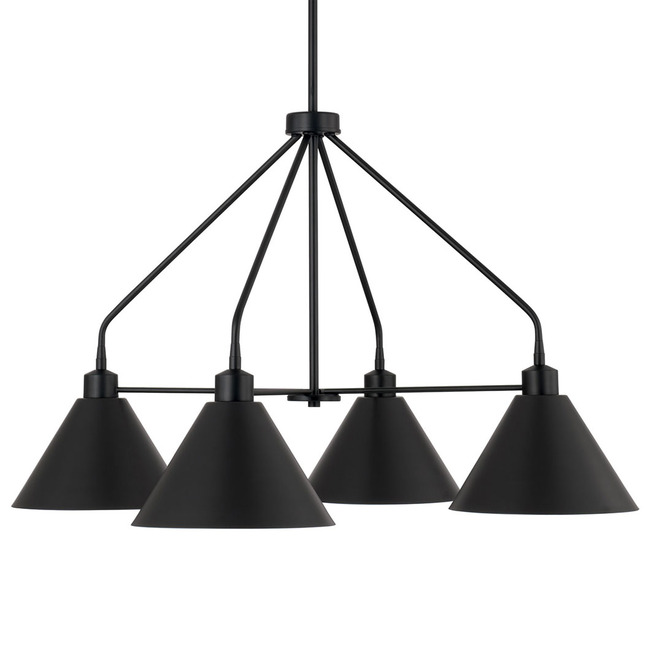 Alden Chandelier by Capital Lighting