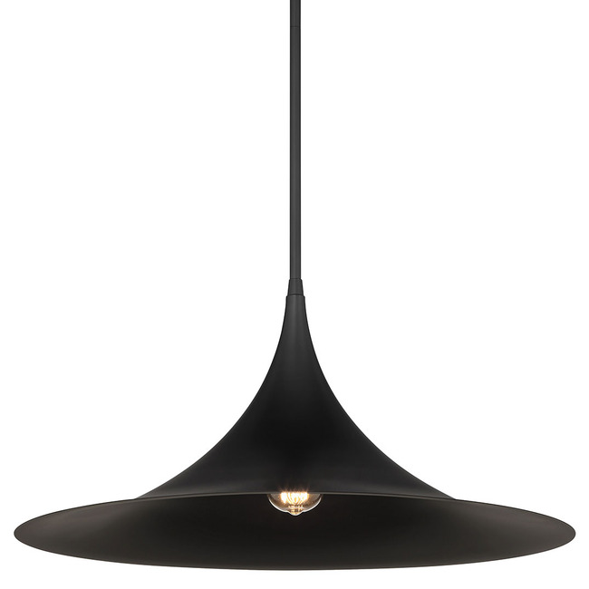 Bowdin Pendant by Savoy House