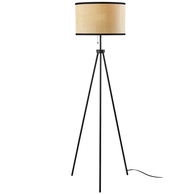 Raven Floor Lamp by Adesso Corp.