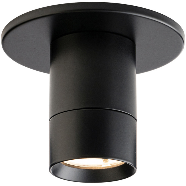 Twist-N-Lite Color-Select Mini Wall / Ceiling Light by WAC Lighting