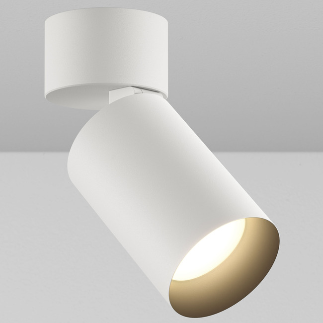 CY1 Cylinder Outdoor Adjustable Wall Wash Ceiling Light by Lucifer Lighting
