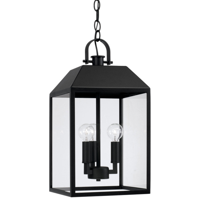 Nelson Outdoor Pendant by Capital Lighting