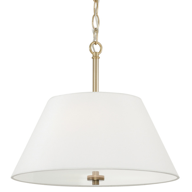 Parson Dual Pendant / Semi Flush Light by Capital Lighting