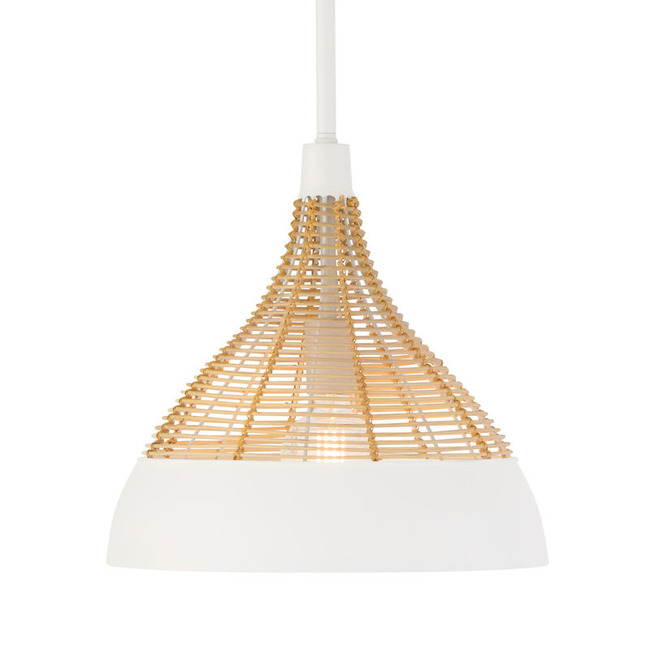 Kali Pendant by Capital Lighting