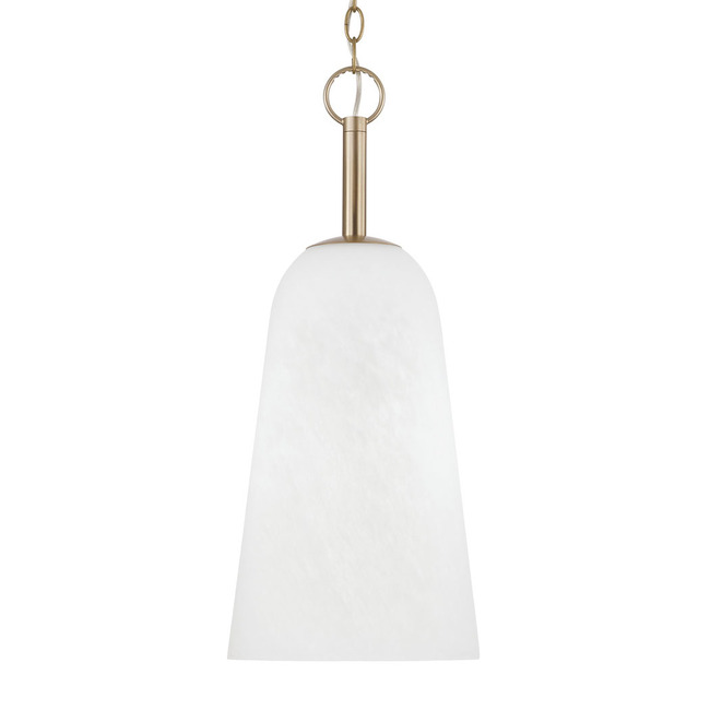 Romy Pendant by Capital Lighting
