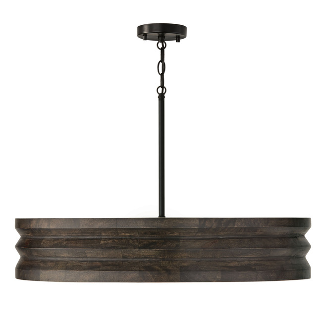 Dunn Chandelier by Capital Lighting