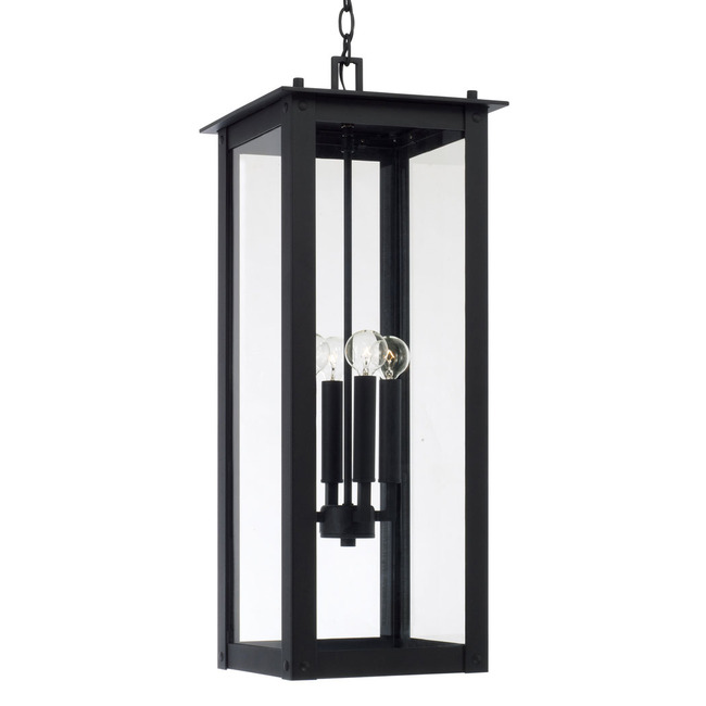 Hunt Hanging Outdoor Lantern by Capital Lighting