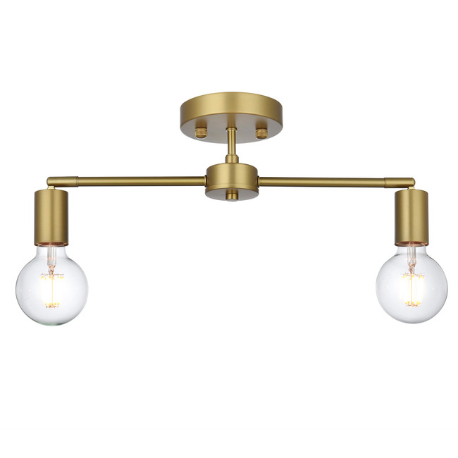 Zane Ceiling Light by Elegant Lighting