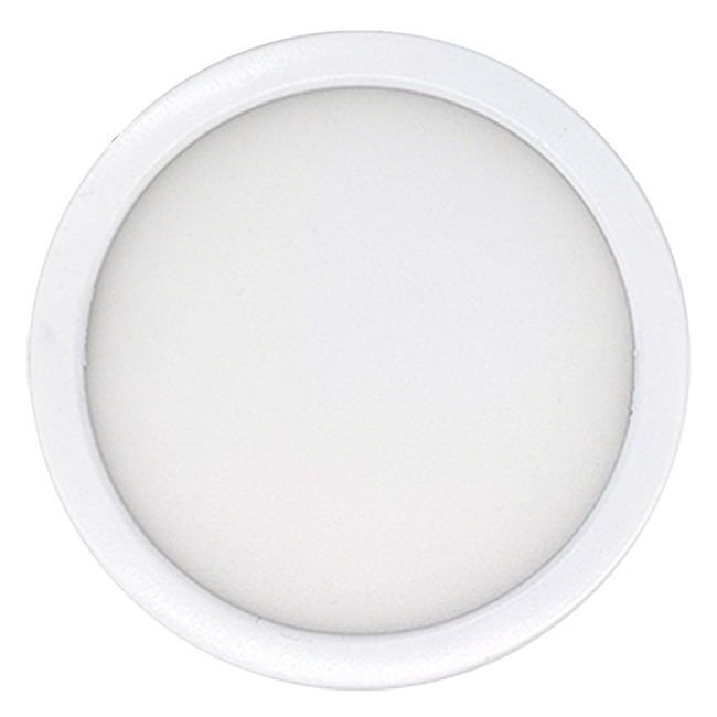 Surface Mount Color-Select Ceiling Light by Bulbrite