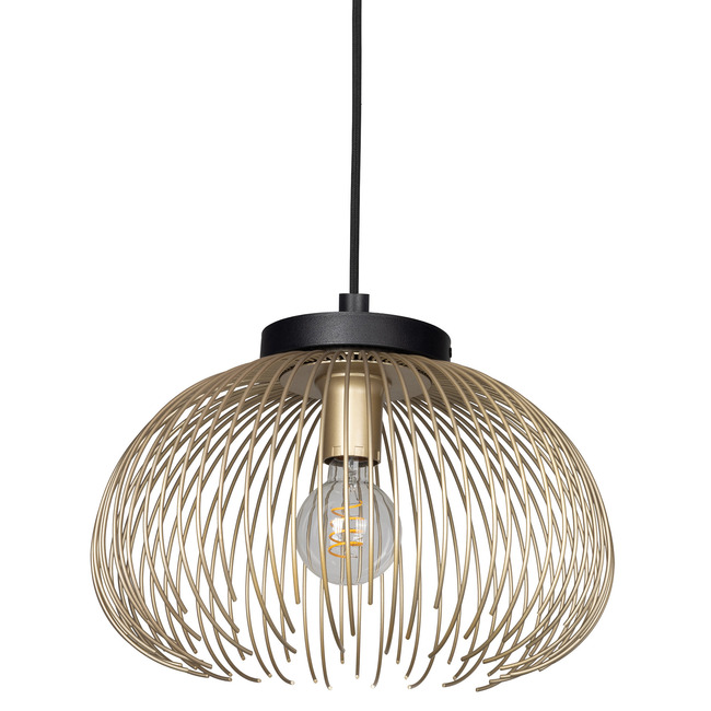 Venezuela Convertible Ceiling Light / Pendant by Eglo