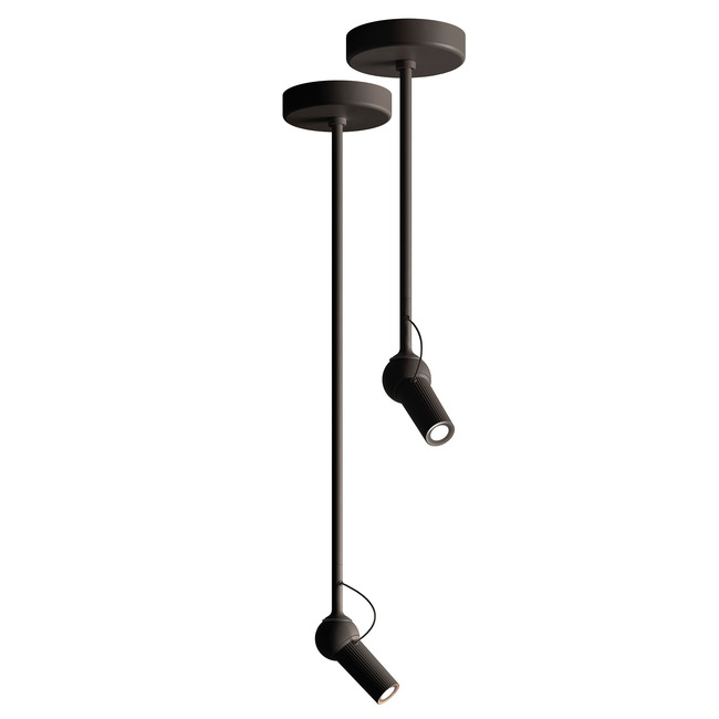Bird Ceiling Down Rod Accessory by kdln