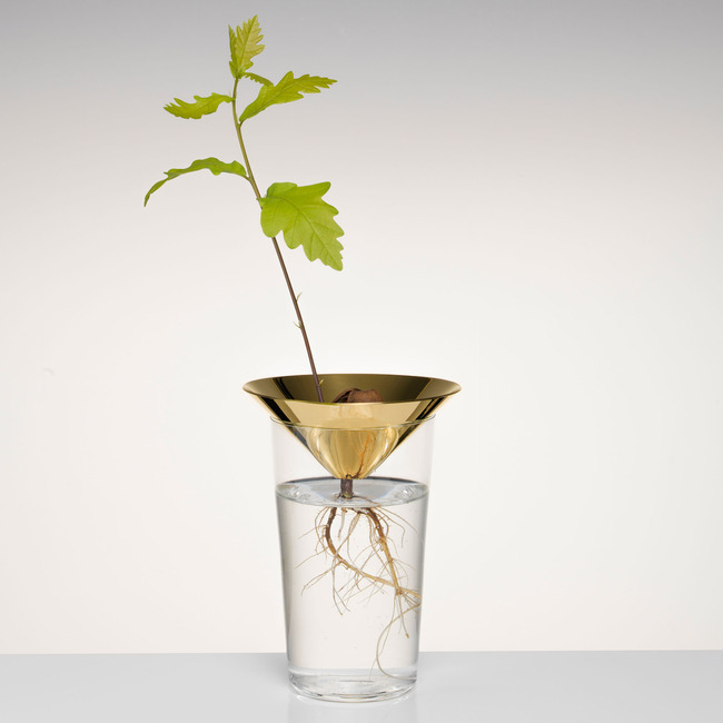 Floating Forest Cone by Michael Anastassiades