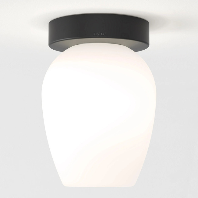Tacoma Tulip Wall / Ceiling Light by Astro Lighting