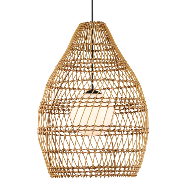 Fishtrap Outdoor Pendant by Currey and Company
