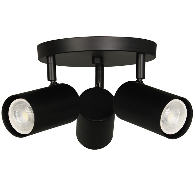 Taylor 3 Light Track Light by Dainolite