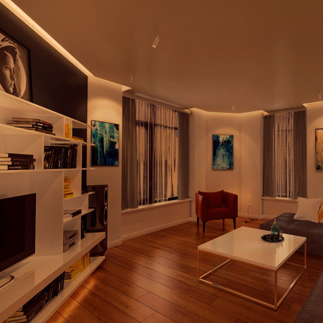 Verge Ceiling Warm Dim Drywall Plaster-In System 24V by PureEdge Lighting