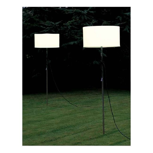 Harry Floor Lamp by Carpyen