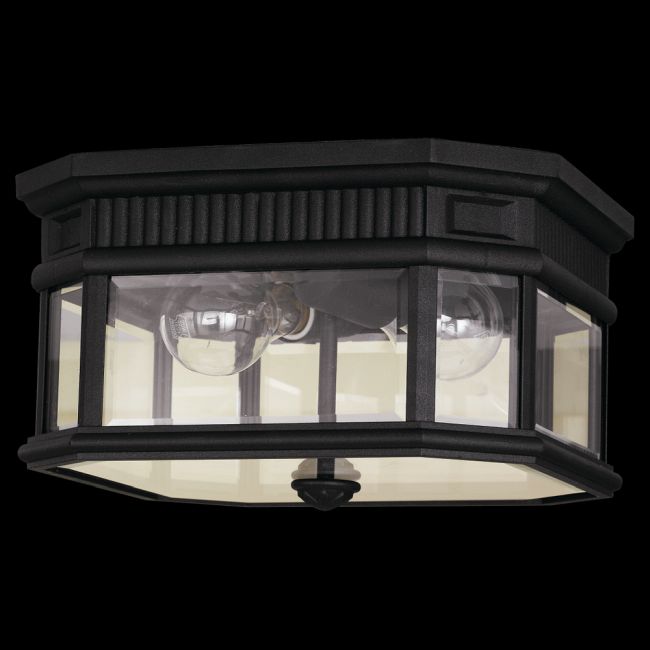 Cotswold Lane Outdoor Ceiling Light Fixture by Generation Lighting