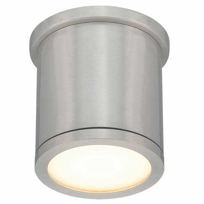 Tube Outdoor Wall / Ceiling Light by WAC Lighting