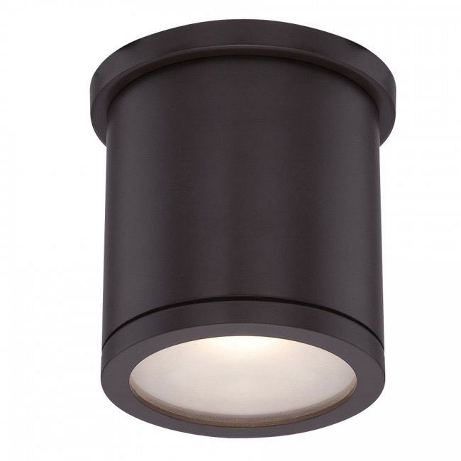 Tube Cylinder Outdoor Wall / Ceiling Light by WAC Lighting