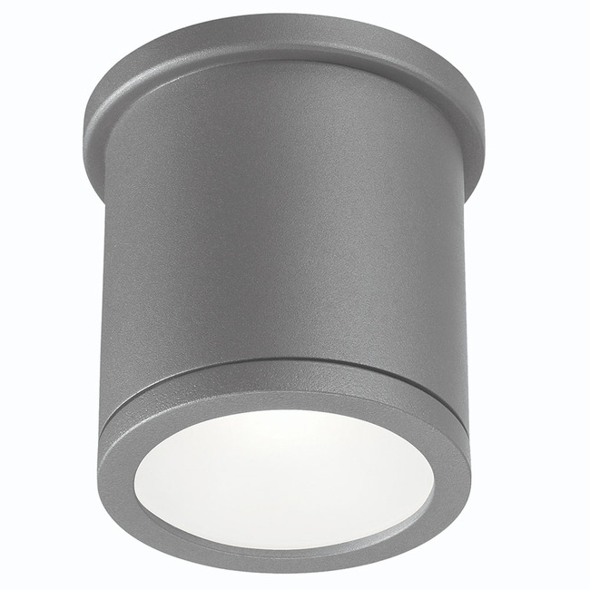 Tube Cylinder Outdoor Wall / Ceiling Light by WAC Lighting