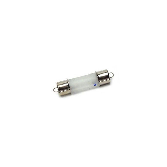 T3.25 Xelogen 10W 24V 2800K Frosted by Raise Lighting