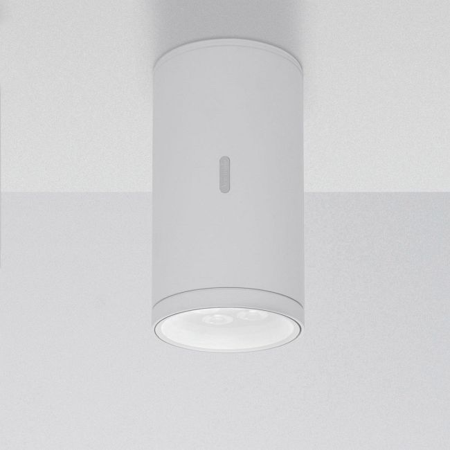 Calumet 8W 32 Deg Outdoor Ceiling Light by Artemide