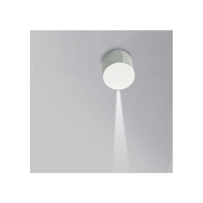 Effetto 1 X 15 Degree Outdoor Wall Light by Artemide