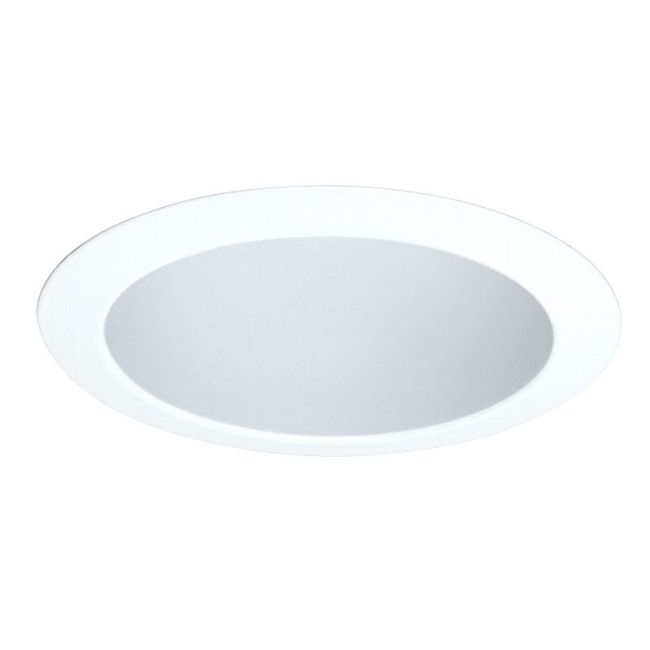 216 Series 5 Inch Enclosed Cone Trim by Juno Lighting