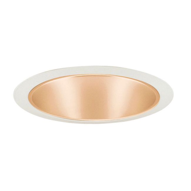 247 Series 6 Inch Shallow Cone Trim by Juno Lighting