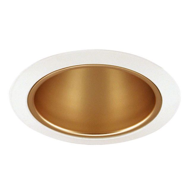 216 Series 5 Inch Enclosed Cone Trim by Juno Lighting