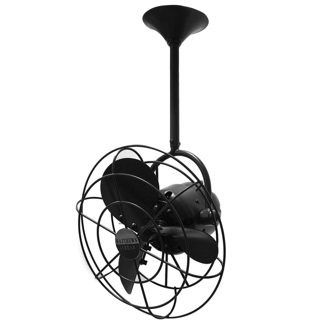 Bianca Directional Metal Ceiling Fan by Matthews Fan Company