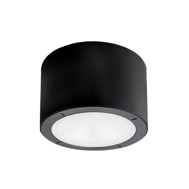 Vessel Outdoor Ceiling Light by Modern Forms