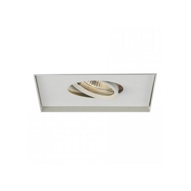 Low Voltage 1-Light Multiple Spot Invisible Trim by WAC Lighting