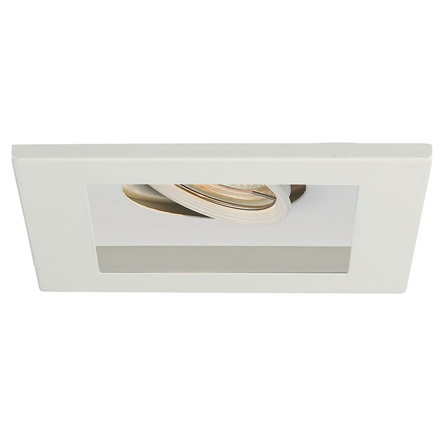 Low Voltage 1-Light Multiple Spot Flanged Trim by WAC Lighting